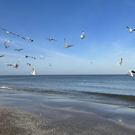 Pension Wald Und See Heringsdorf Dış mekan fotoğraf